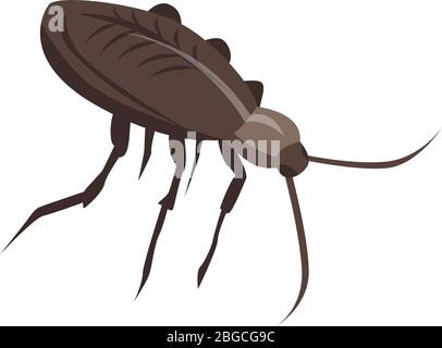American cockroach icon, isometric style Stock Vector
