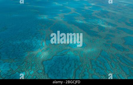 Beautiful aerial view of turquoise water and the Great Barrier Reef in the tropical wonder of the Whitsundays islands, Queensland, Australia Stock Photo