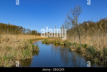 Kersdorf, Germany. 19th Apr, 2020. A mixed forest borders on the shore of  the Kersdorfer See in the Kersdorfer See nature reserve. Credit: Patrick  Pleul/dpa-Zentralbild/ZB/dpa/Alamy Live News Stock Photo - Alamy