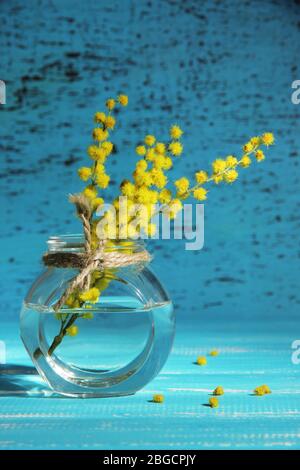 Twigs of mimosa flowers in vase on blue wooden table Stock Photo