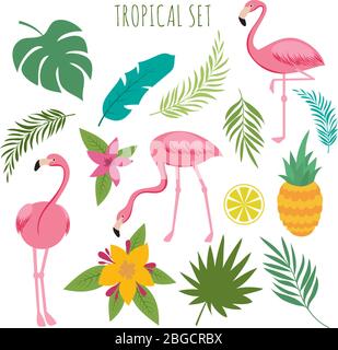 Tropical vectoro set with pink flamingos, palm leaves and flowers. Jungle leaves and pineapple, palm exotic green, vector illustration Stock Vector