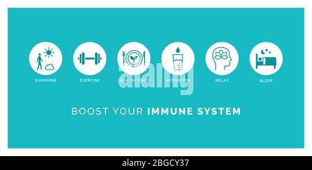 How to boost your immune system naturally: expose to sunlight, exercise, eat healthy, drink water, relax and sleep, icons set Stock Vector