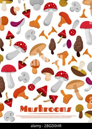 Delicacies fresh edible mushrooms poster banner background pattern. Vector illustration Stock Vector