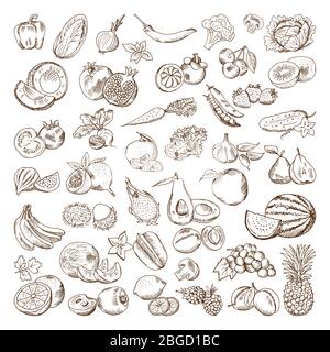 Vector hand drawn pictures of fruits and vegetables. Doodle vegan food illustrations Stock Vector