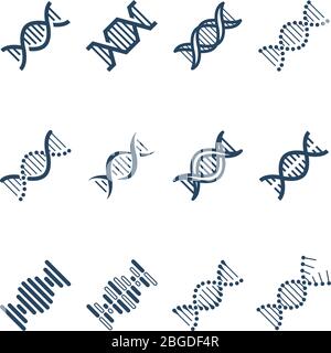 Dna spiral molecule structure vector icons. Genetics research and chromosome engineering symbols. Structure chromosome dna and genetic molecule illust Stock Vector