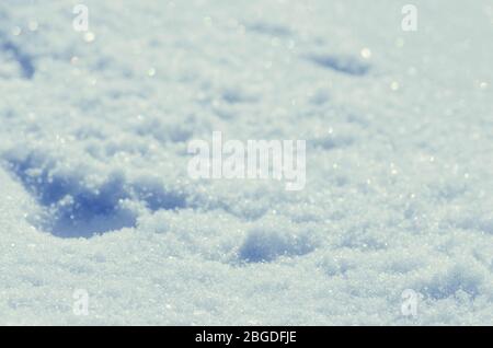 Abstract  shiny snow background. Fresh snow abstract texture background Stock Photo