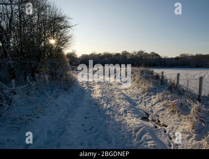 Footsteps in the snow along curving path with low sun seen through trees  casting  and highlighting the path and vegetation with a clear blue sky Stock Photo