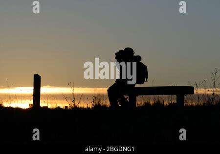 Silhouette of a bird watcher seated on a bench with binoculars raised in front of a golden sunset Stock Photo