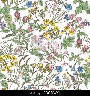 Hand drawn herbs background. Vector seamless pattern Stock Vector