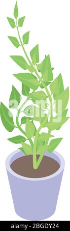Indoor houseplant icon, isometric style Stock Vector