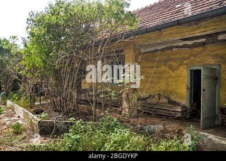 Old abandoned and ornate farm in Vojvodina. Stock Photo