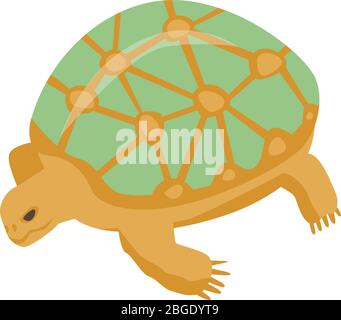 Old turtle icon, isometric style Stock Vector