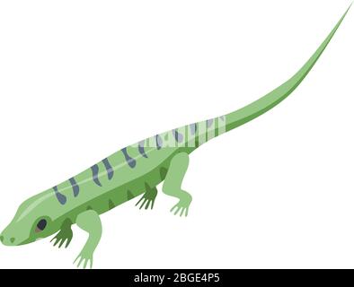 Water lizard icon, isometric style Stock Vector