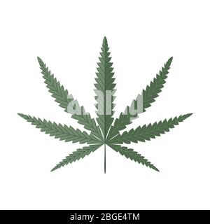 Cannabis leaf isolated on white. Hemp vector illustration. Stock Vector