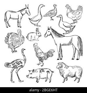 Farm animals set in hand drawn style. Vector illustrations Stock Vector