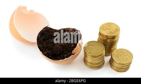 Coins and eggshell with soil isolated on white Stock Photo