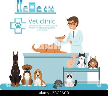 Animals in cabinet of vet hospital. Vector illustration Stock Vector