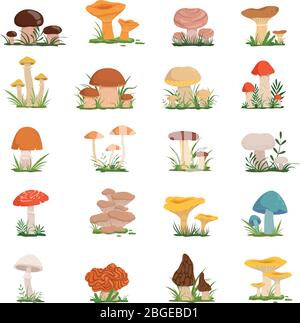 Different mushrooms on green grass. Vector set Stock Vector