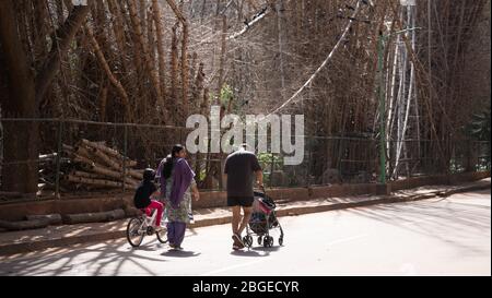 An Indian couple going on a walk in Cubbon park during the morning hours fallen bamboo trees in background Stock Photo