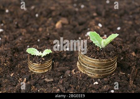 Business concept: golden coins in soil with young plants close up Stock Photo