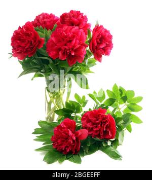Beautiful pink peonies in glass vase, isolated on white Stock Photo