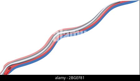 Exotic snake icon, isometric style Stock Vector