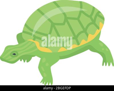 Green turtle icon, isometric style Stock Vector