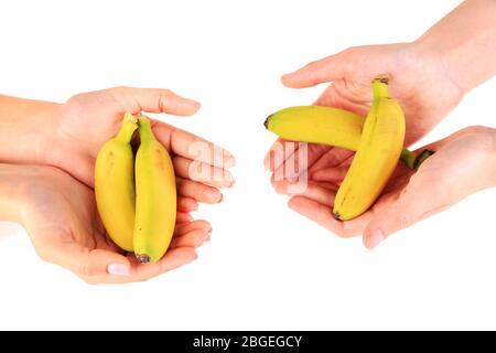 Female hands holding mini banana, isolated on white Stock Photo