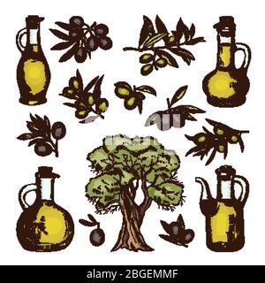 Set of olive tree branch. Hand drawn style. Vector sketch Stock Vector ...