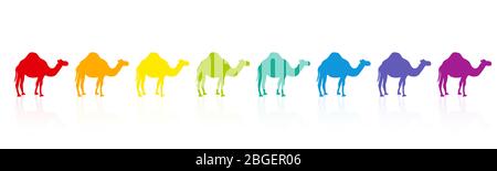 Rainbow colored camel caravan, colorful parade, rainbow spectrum. Funny comic illustration on white background. Stock Photo