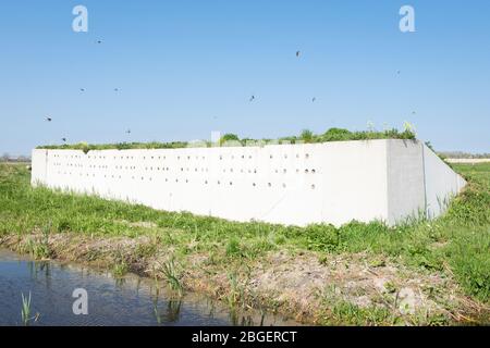 Man made wall with holes intended for nests of barn swallows in the dutch polder landscape Stock Photo
