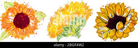 Vector watercolor sunflowers set, isolated on a white background, design elements for greeting cards and wedding invitations Stock Vector