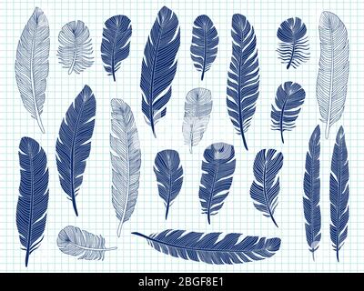 Ballpoint pen drawing bird feathers big set on notebook background. Bird feather drawing sketch, plume elegance, sketching illustration Stock Vector