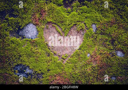 Engraved heart shaped sign on a stone, covered by moss and musk around in a public park