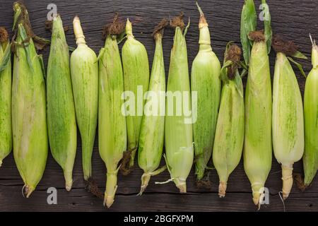 sweet corn, grain food, fresh corn, drawn , wood background, grilled corn, sweet corn, yellow corn Stock Photo