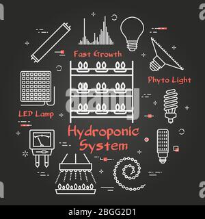 Vector black concept of hydroponic and growth led light - hydroponic system Stock Vector