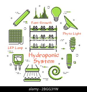 Vector concept of hydroponic and growth led light - hydroponic system Stock Vector