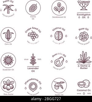 Healthy organic flower cosmetics oil linear vector labels and logos. Linear badge oil coconut and avocado, lavender and sandalwood illustration Stock Vector