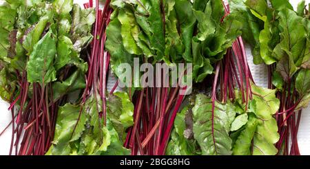 fresh vegetables - beet on the white background Stock Photo