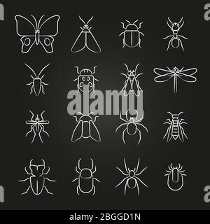Popular insects line icons set. Bug and beetle, bee and spider. Vector illustration Stock Vector