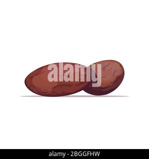 cocoa beans organic healthy vegetarian food on white background vector illustration Stock Vector