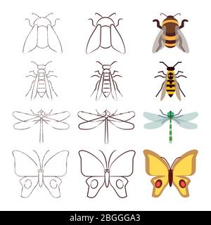 Pencil sketch style, line and flat insects collection. Vector illustration Stock Vector