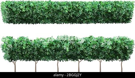 Realistic garden plant fence. Nature green seasonal bushes, tree crown bush foliage and green fence with cute flowers. Garden shrub vector Stock Vector