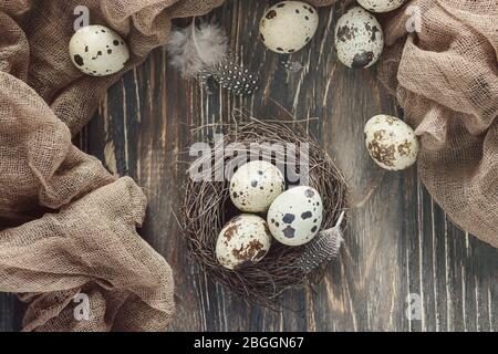 Spotted quail eggs and feathers in a nest on a dark wooden background Stock Photo