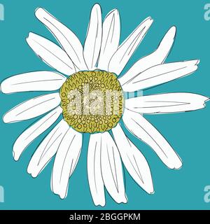 White daisy chamomile on a blue background. Cute flower plant collection. Love card. Camomile icon Growing concept. Flat design. Blue background Stock Vector