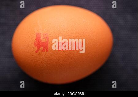 British Lion Marked Eggs quality mark logo on an egg. Stock Photo