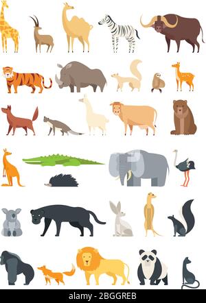 Flat african, jungle and forest animals. Cute mammals and reptiles. Wild fauna vector set isolated. Elephant and lion, giraffe and fox, zebra and bear illustration Stock Vector