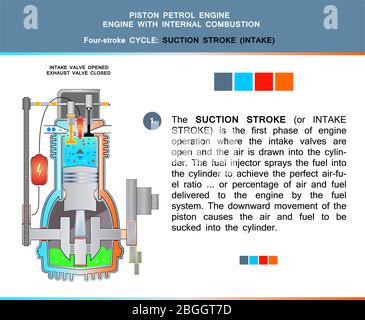 Piston engine petrol four stroke cycle in structural cross section for education Stock Vector