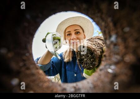 female gardener planting a flower in the garden soil hole. view from underground Stock Photo
