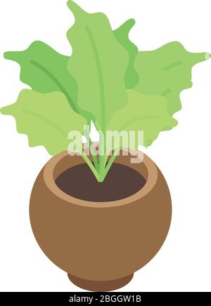 Gardenia houseplant icon, isometric style Stock Vector